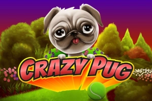 23390 crazy pug